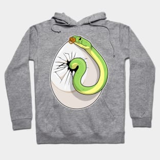 Snake Egg Pacifier Hoodie